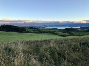 IMG_5478